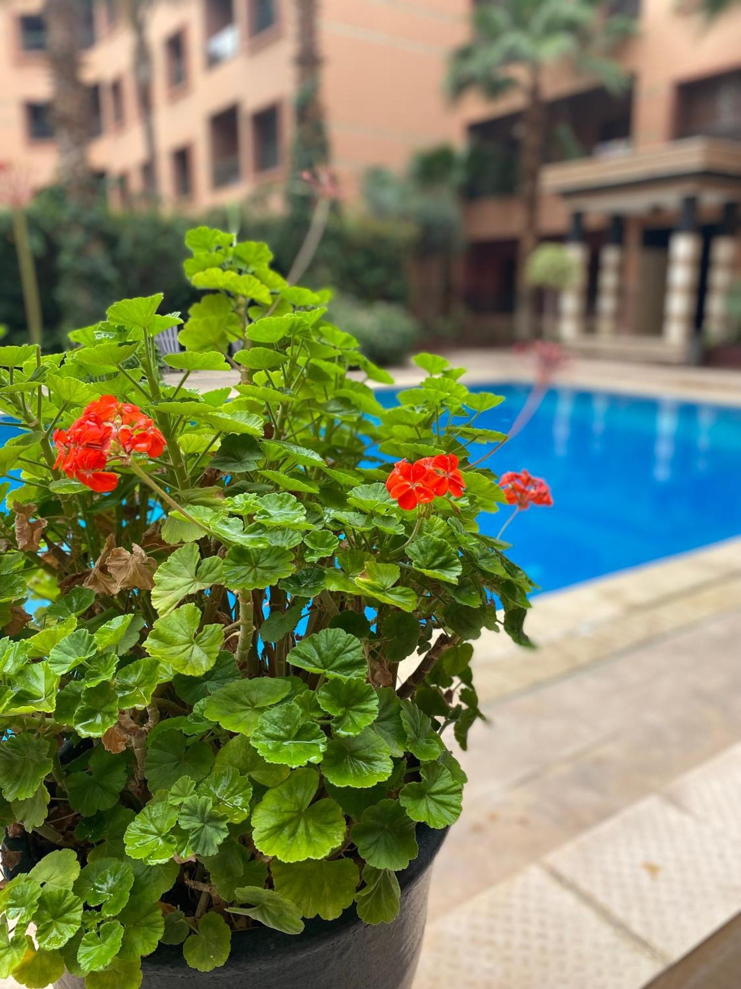 Residence Caprice Palace Hivernage مراكش المظهر الخارجي الصورة