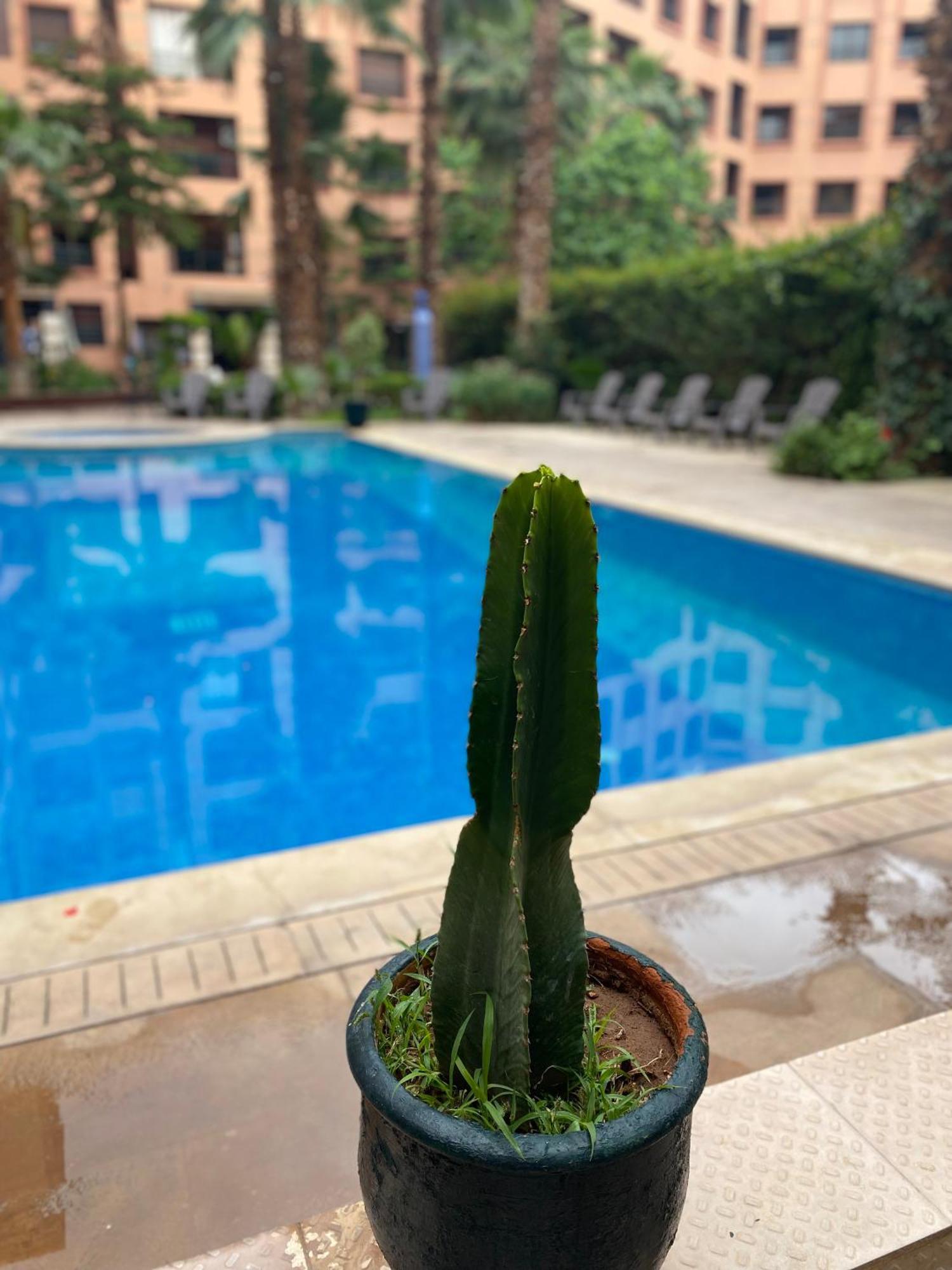 Residence Caprice Palace Hivernage مراكش المظهر الخارجي الصورة