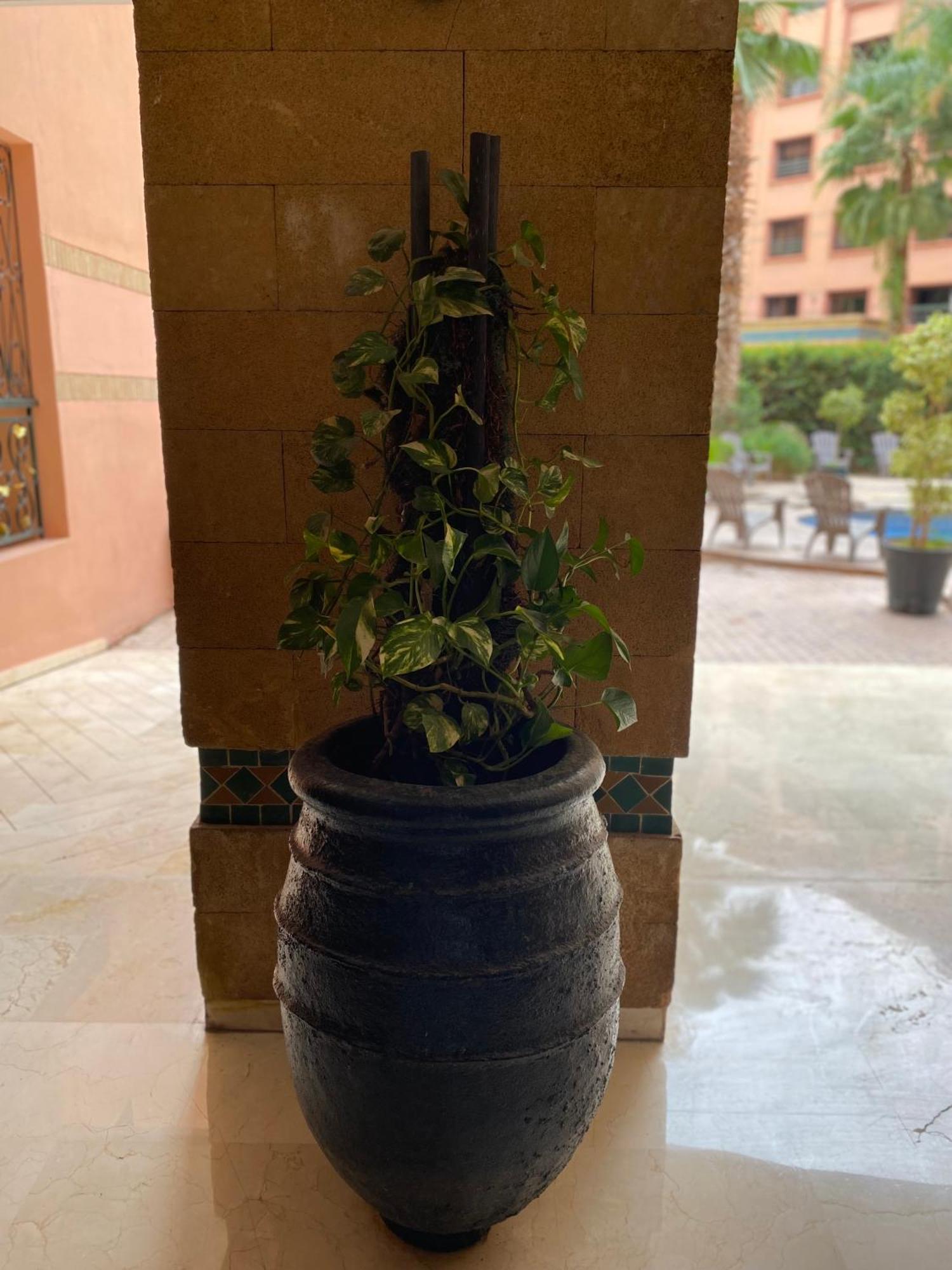 Residence Caprice Palace Hivernage مراكش المظهر الخارجي الصورة