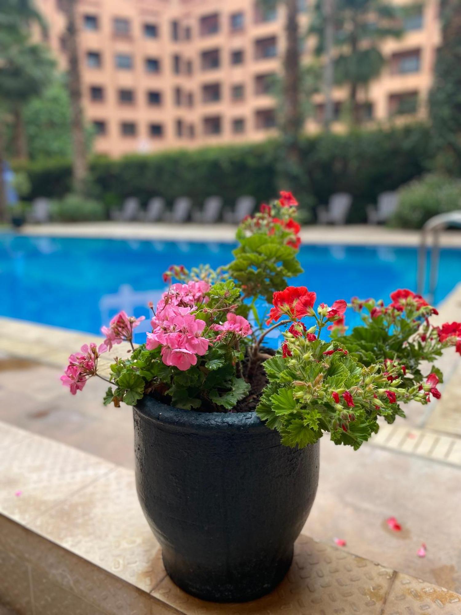 Residence Caprice Palace Hivernage مراكش المظهر الخارجي الصورة